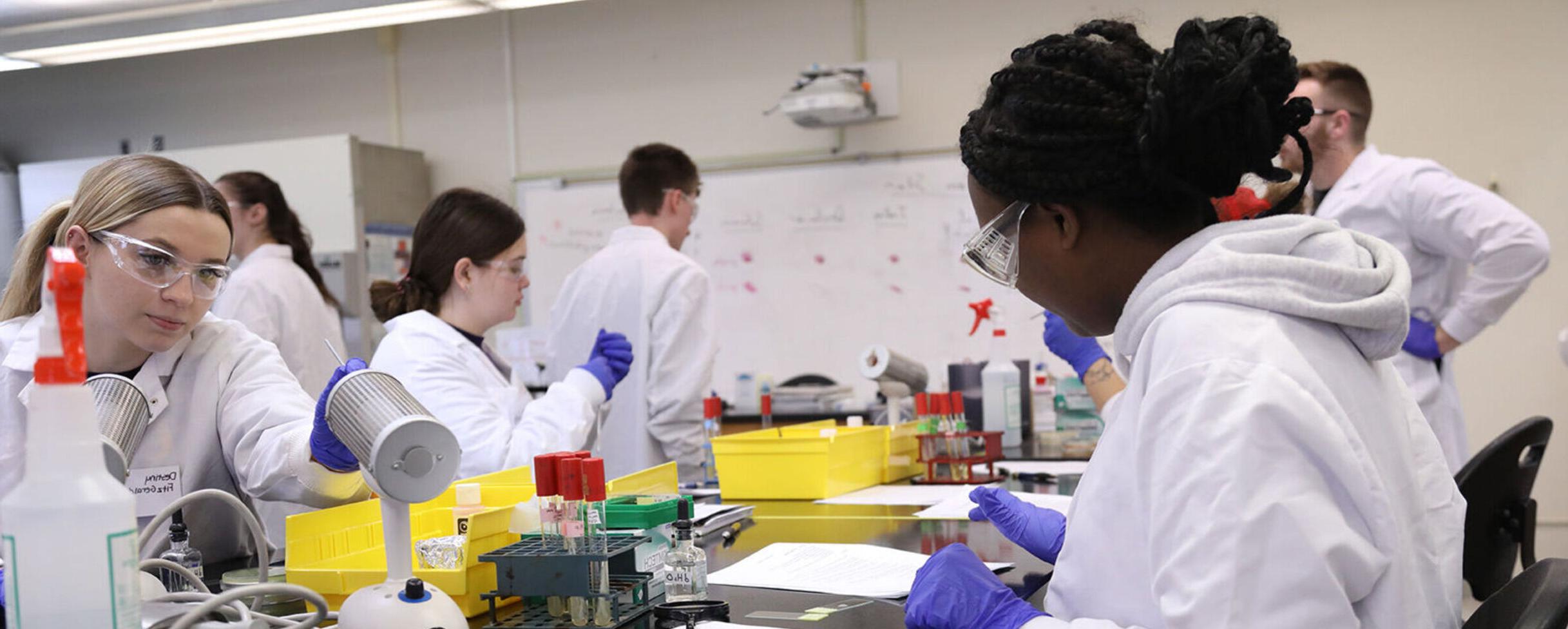 Students work on science lessons in a laboratory